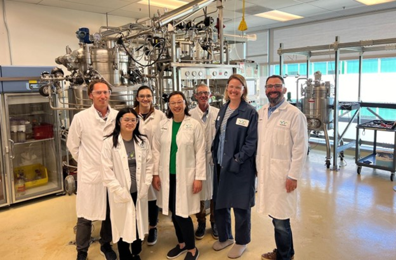 Industrial Microbes team in the lab